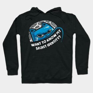 Secret Identity Hoodie